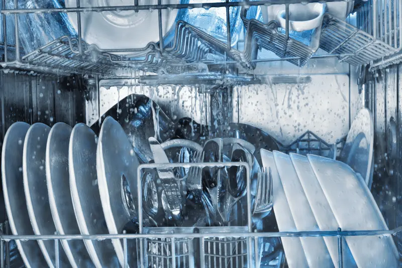 Dishwasher not draining with standing water