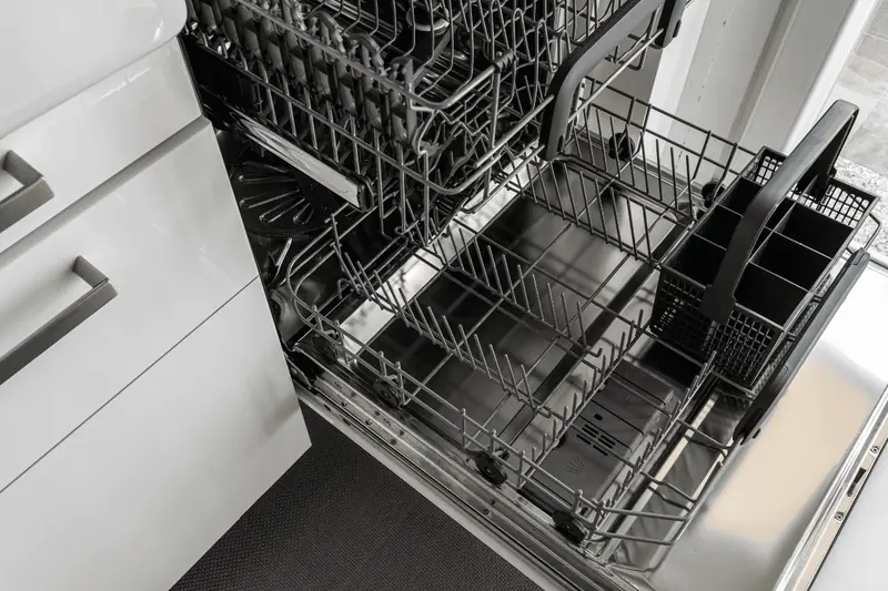 Dishwasher with standing water not draining