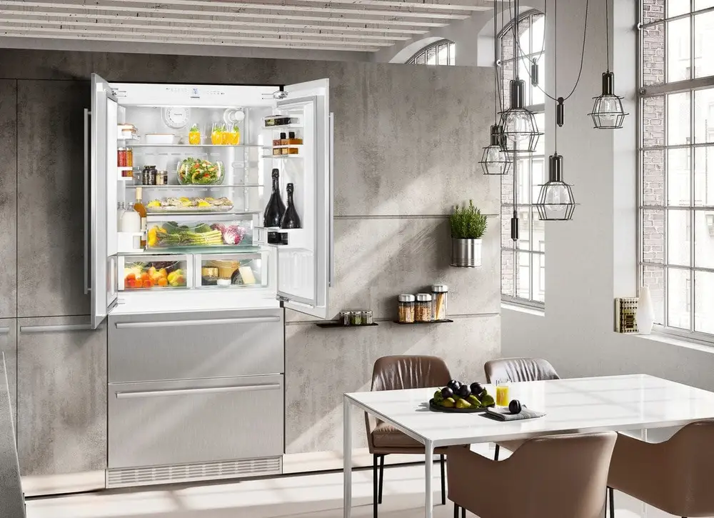 Liebherr refrigerator making strange noises — compressor diagnosis