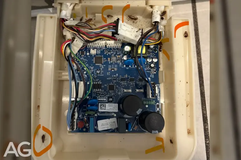 Cockroaches found inside a refrigerator control board compartment in a garage installation