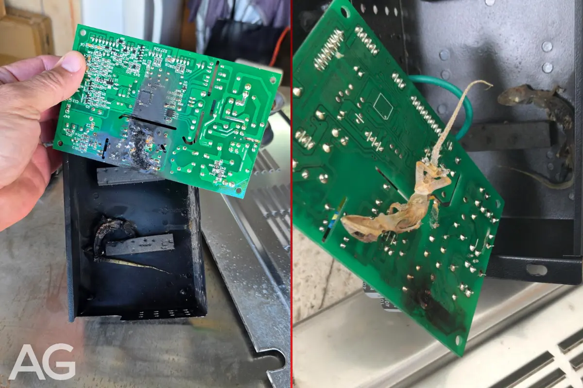 Burned control board and pest damage inside a refrigerator used in an outdoor environment
