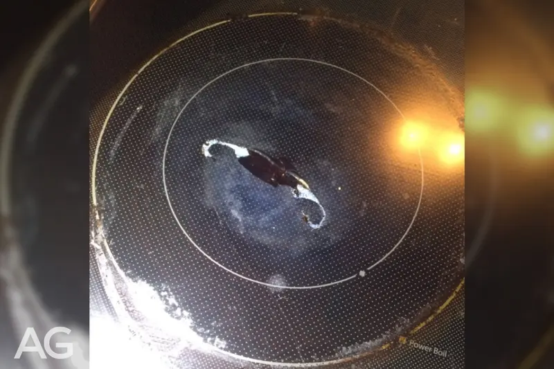 Starchy water overflow causing a pan to fuse to a glass cooktop